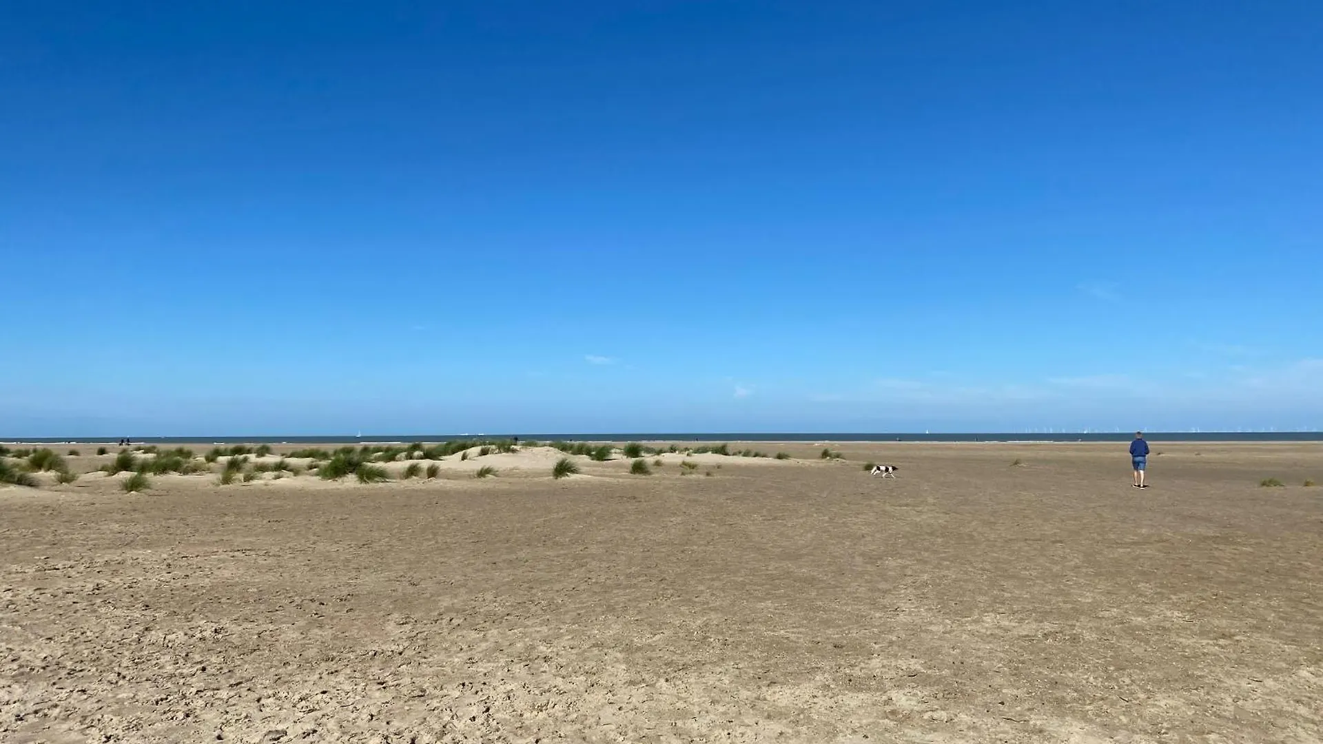 Residentie Nivaria Zeebrugge, Appartement Met 1 Slaapkamer Aan De Jachthaven Βέλγιο